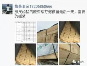 履約思源，不忘初心 2017年11月11日精品木材銷售信息速遞